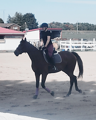 Untitled design(9).png