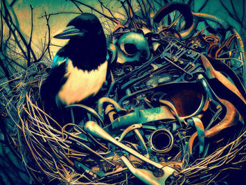 Bright Shiny Broken Parts, Magpie, Oh My!