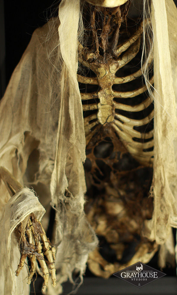 Thumbnail: XL DELUXE RESIN SKELETON SHADOWBOX