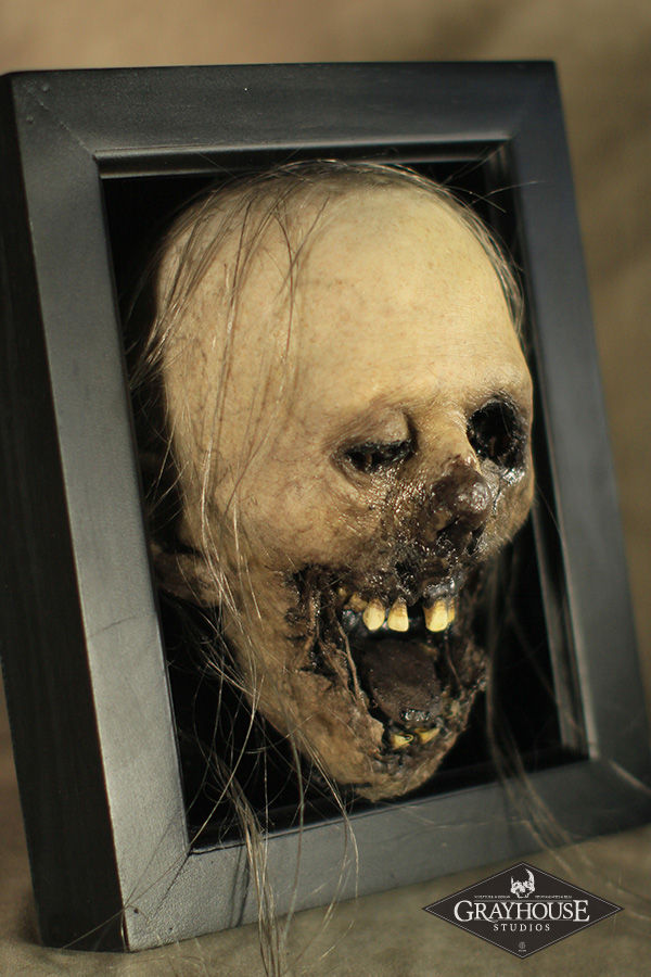 Thumbnail: SILICONE CADAVER HEAD SHADOWBOX