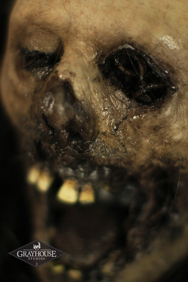 Thumbnail: SILICONE CADAVER HEAD SHADOWBOX