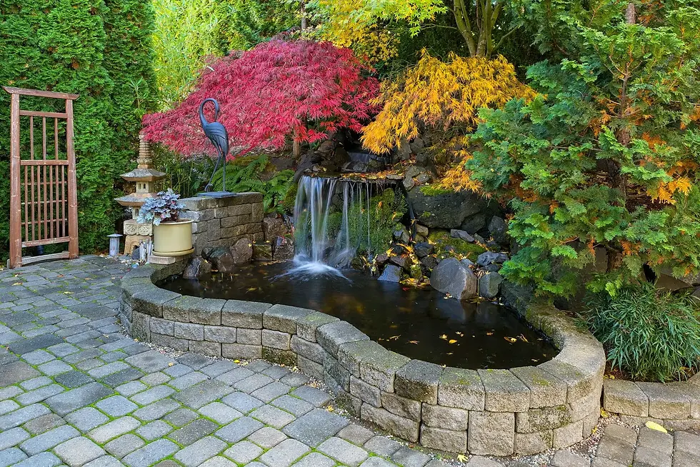picturesque water feature with a waterfall, integrated into a landscaped garden with stonework. This showcases expertise in incorporating water features and hardscaping elements like stone walls and pathways, enhancing the overall appeal and functionality of the landscape.