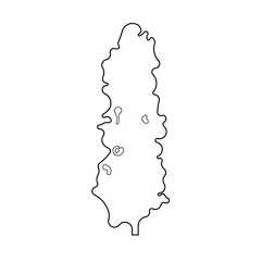 2D TREE - REVIT FAMILY - VECTOR FILE