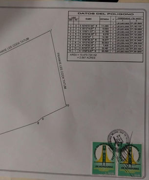 WhatsApp Image 2022-11-12 at 7.51.09 AM.jpeg