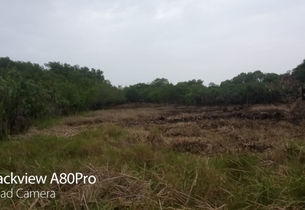 WhatsApp Image 2023-01-18 at 9.08.57 PM (1).jpeg