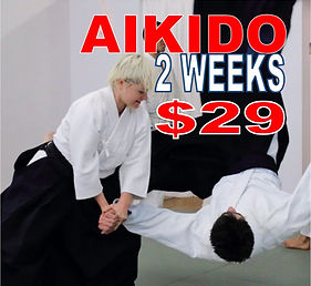AIKIDO FOR 29.jpg