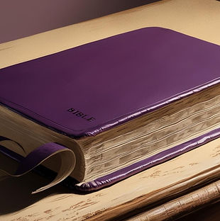 illustration of a purple, open bible.jpg