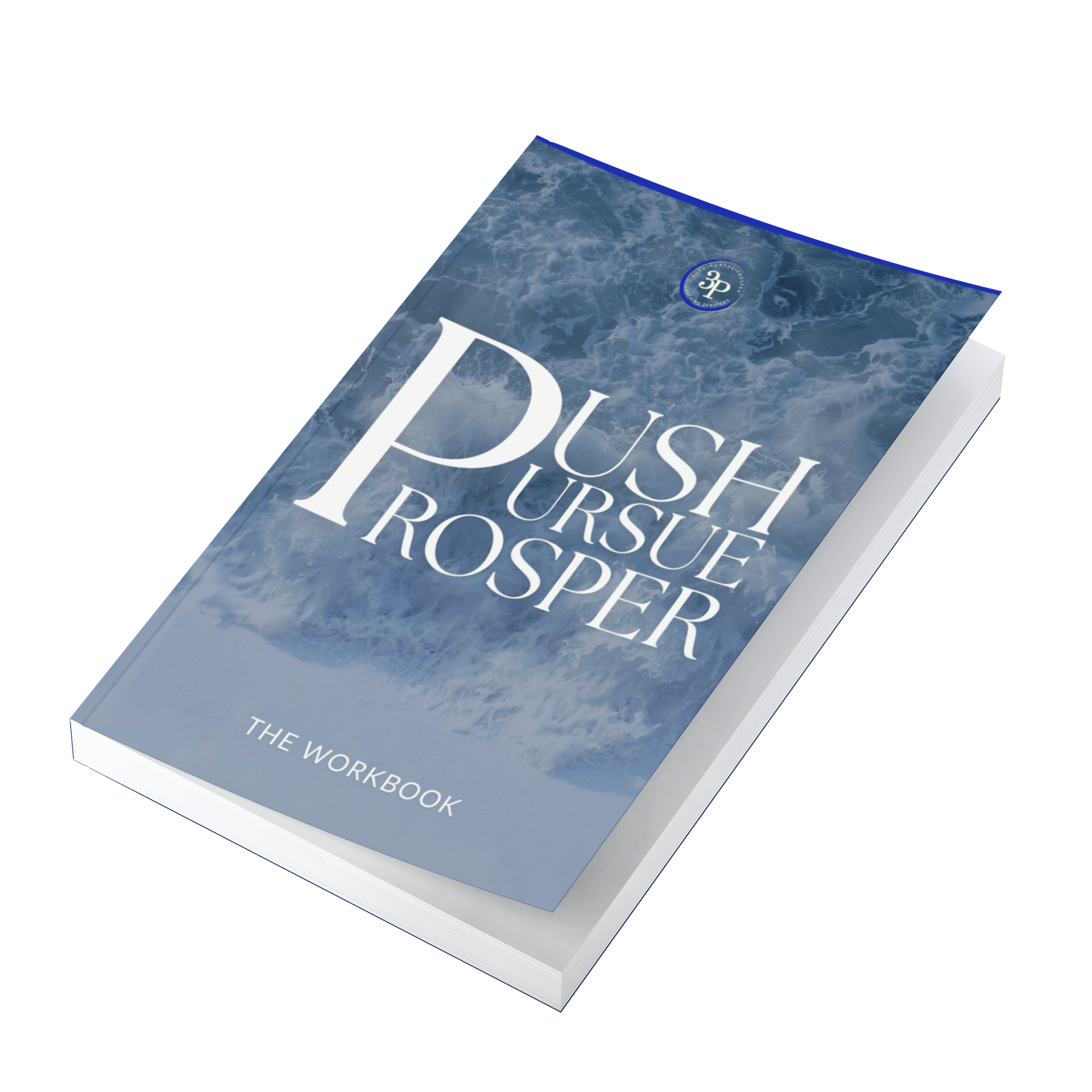 Push Pursue Prosper Workbook