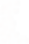 muster-roosa.png