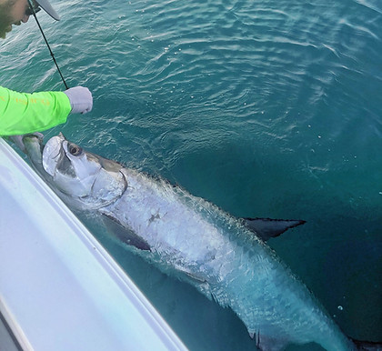 Vero beach tarpon catch and release