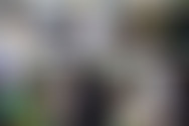 Descubriendo la Ciencia con los estudiantes del Instituto Juan Ruíz de Alarcón