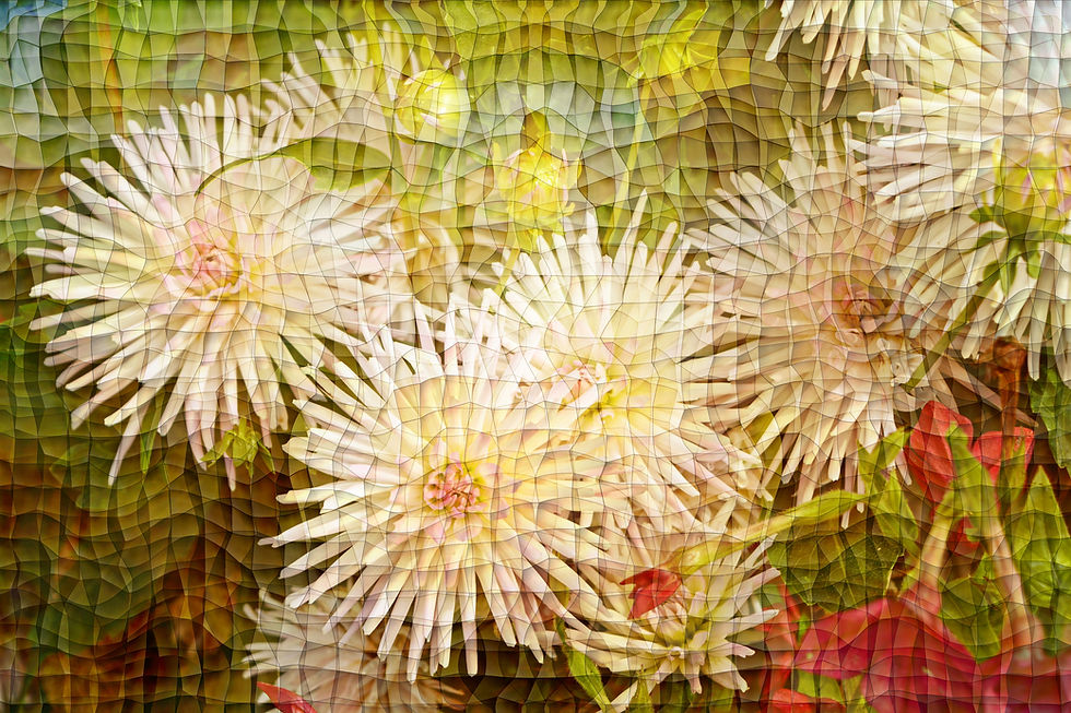 Dahlia,fabrictexture