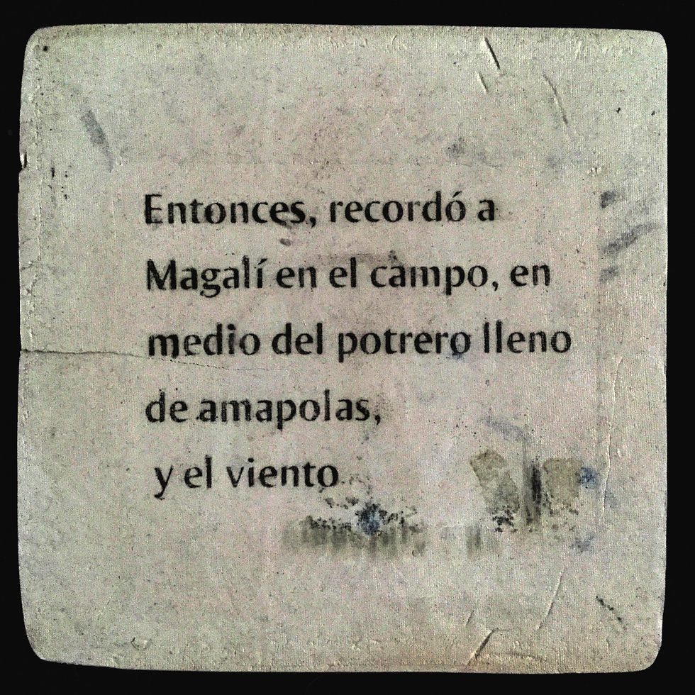 Ésto le pasó a Lilus