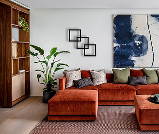 orange couch sized.jpg