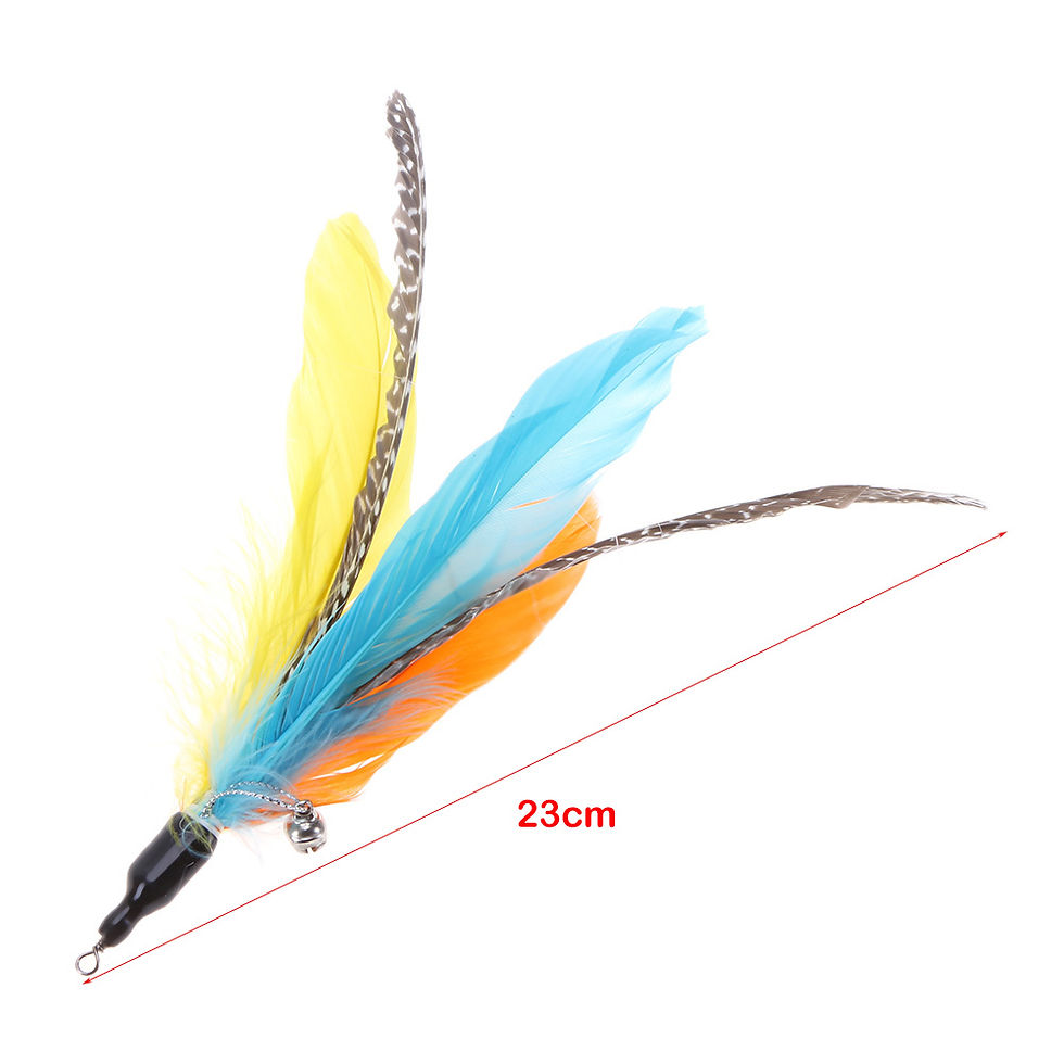Thumbnail: 5pcs Interactive Funny Cat Stick Colorful Feather Cat Game Wand Exquisite Portab