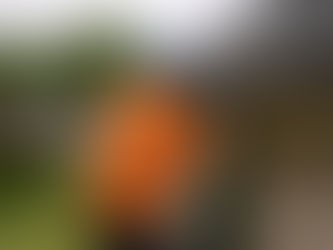 The Essential Role of Rain Gutters in Home Protection