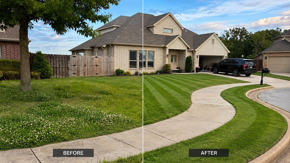 Before and After.jpeg