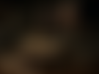 📝 Unverified Diaries Are Not Evidence: CESTAT Quashes ₹2.16 Cr Excise Demand — A Lesson for All Taxpayers