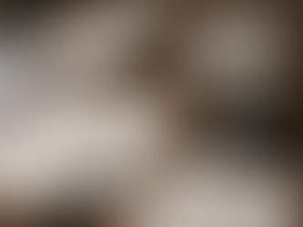 📘 Settlement Payments Allowed as Business Expenditure: Karnataka HC’s 2025 Ruling Explained