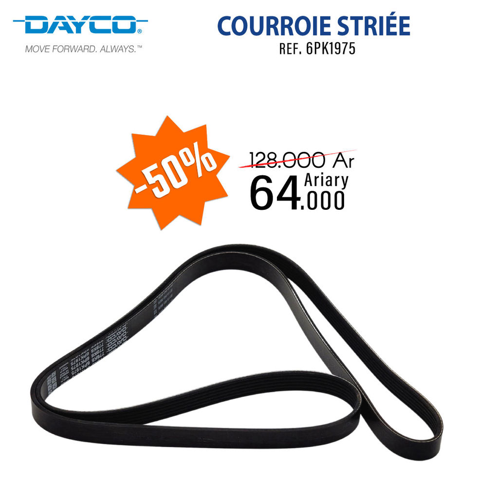 6PK1975-Courroie-striée-DAYCO.jpg