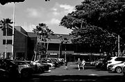 MANOA (11)_edited.jpg