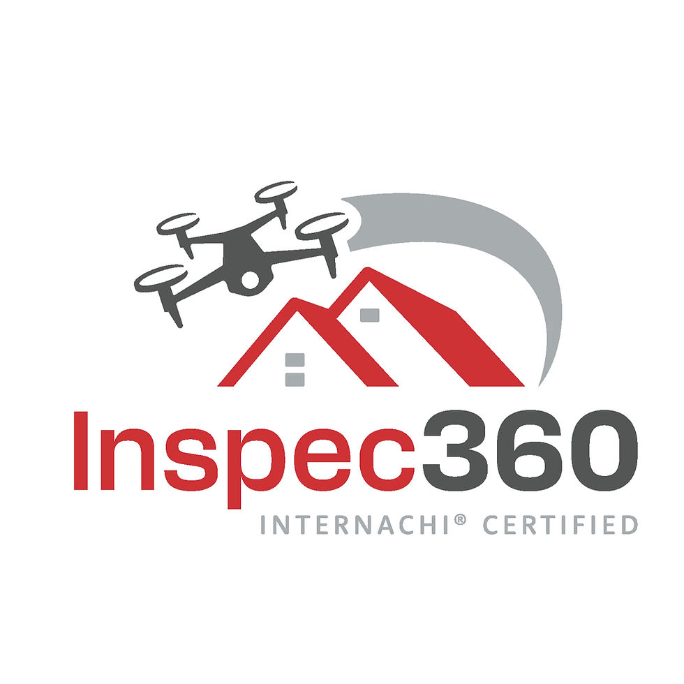 Inspec360_edited.jpg