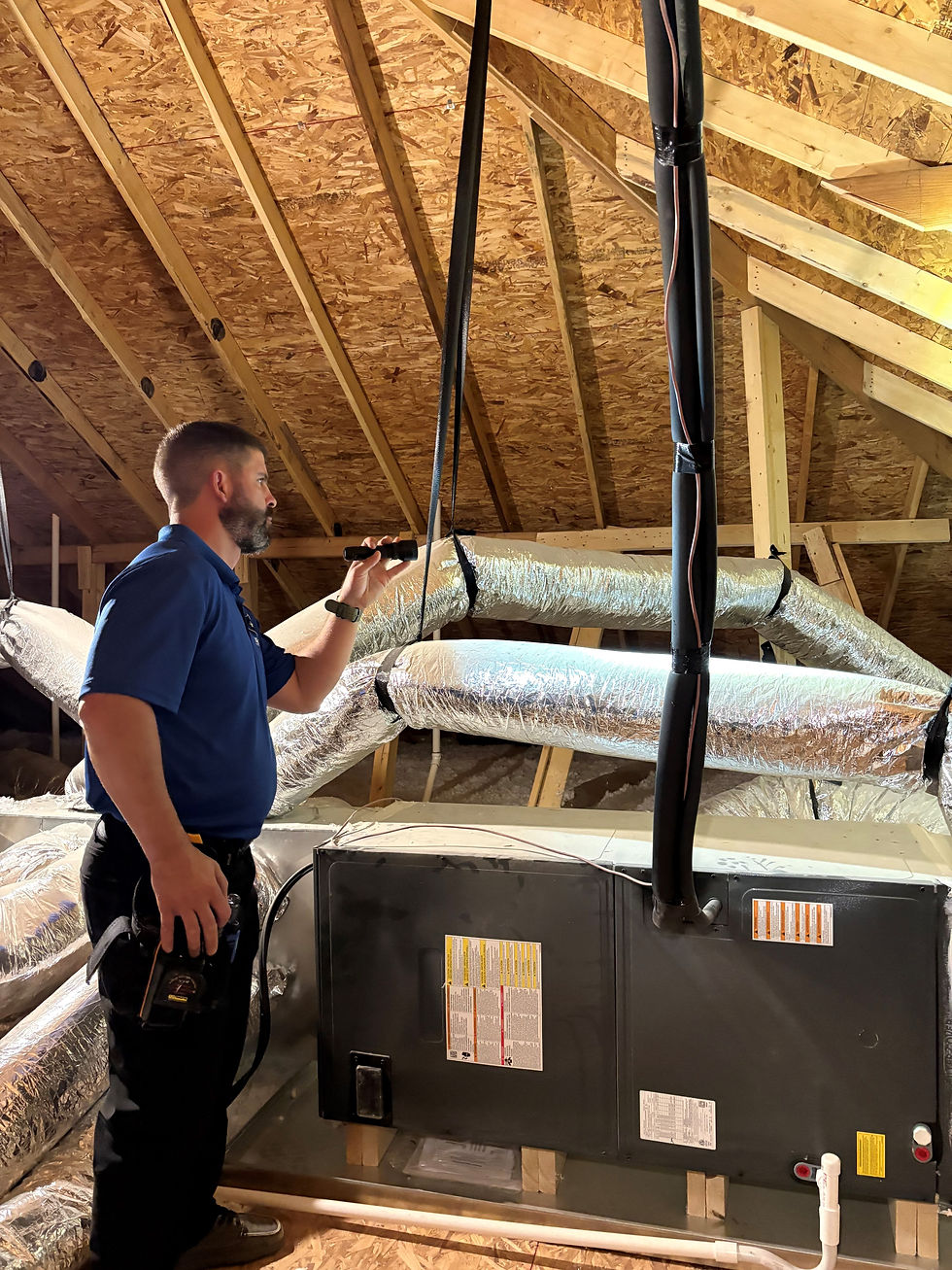 Attic Inspection