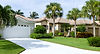 House with Palm Trees