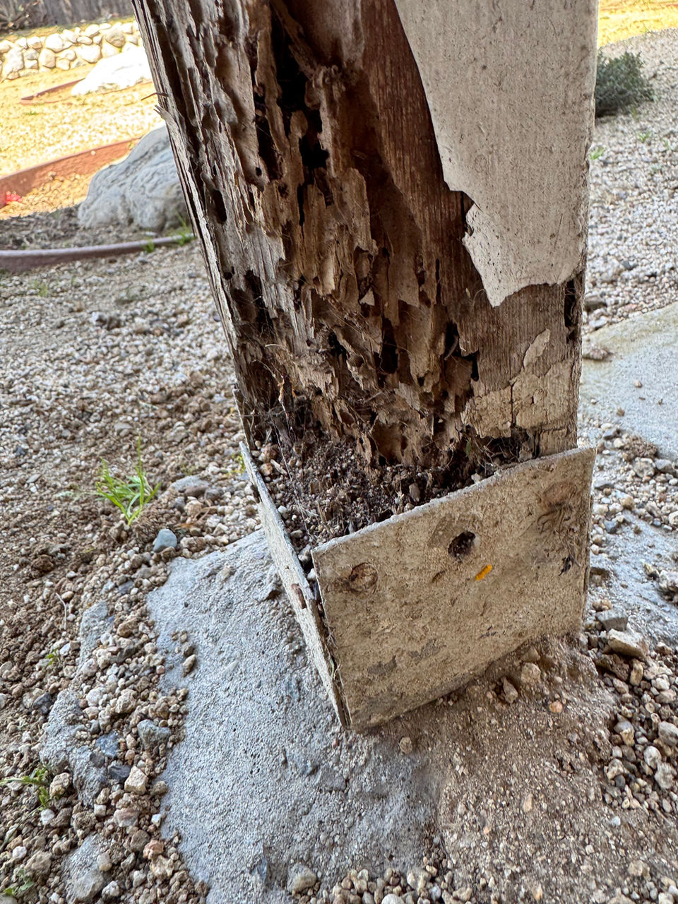 rotted wood post