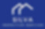 Silva logo.jpg