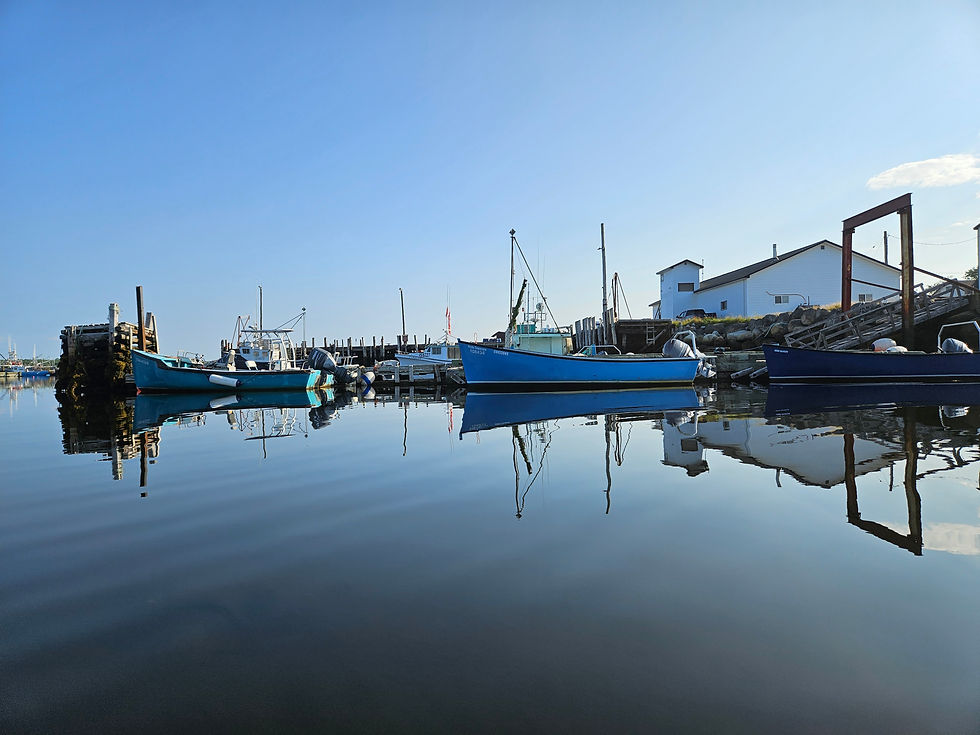 Boats in the Water in Nova Scotia