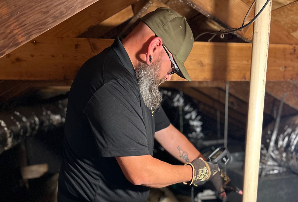 Attic Inspection