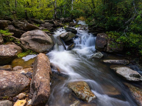 A hidden gem in the jungles of Hong Kong