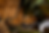 _DSC6015.png