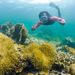 15729923_1405752469444450_5041311566981496832_n