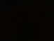 IMG_0014.jpeg