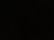 IMG_0014.jpeg