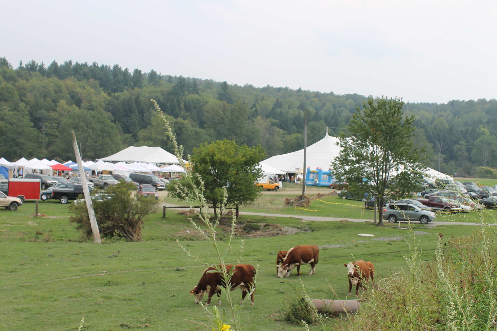 Mad River Valley Craft Fair banner