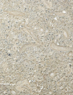 Ecru Limestone Honed Finish