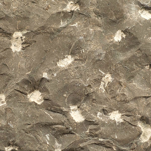 Pineapple finish on Sepia Limestone, showcasing a deeply textured, heavy-relief surface for bold architectural statements.