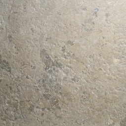 Acid wash finish on Light Taupe Limestone, highlighting a soft aged patina and enhanced natural fossil details for wall cladding