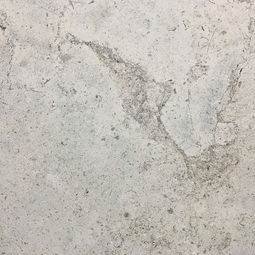Honed Pewter Limestone surface showcasing a smooth matte finish with characteristic beige-grey tones and scattered fossil inclusions.