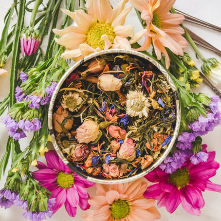 An assortment of medicinal herbs