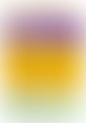 21世紀的隱形冠軍 - 網上講座