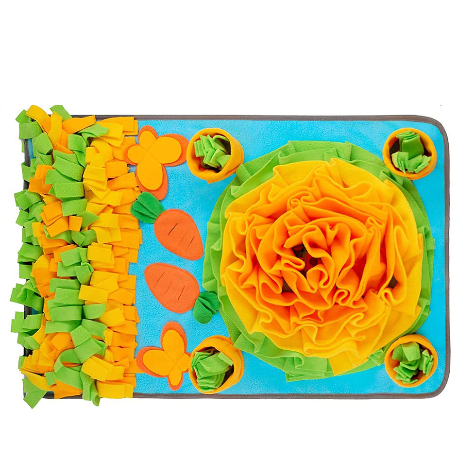 Thumbnail: Colorful Large Interactive Snuffle Mat