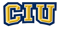 CIU Rams_textonly_RGB_reverse.png