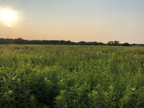 Come Home & Truly BE Anywhere