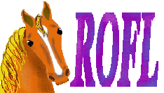 horse rofl.gif