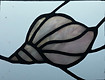 fixed shell.jpg
