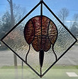 Horseshoe crab.jpg